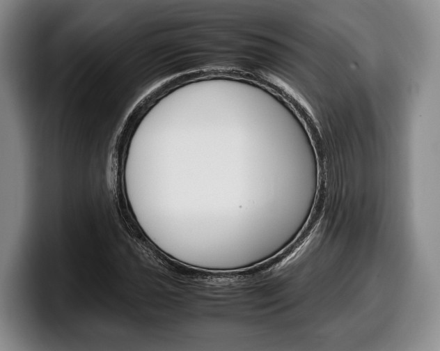 X0000100341021200806051220