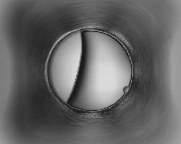 X0000100341024200806051220