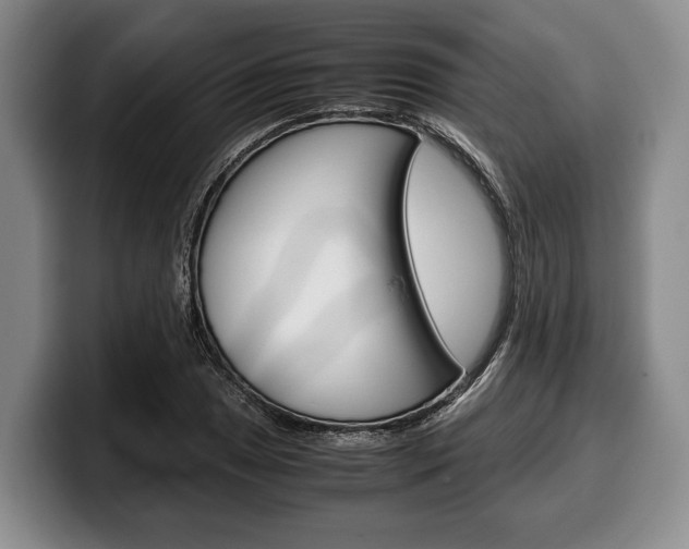 X0000100341025200806051220