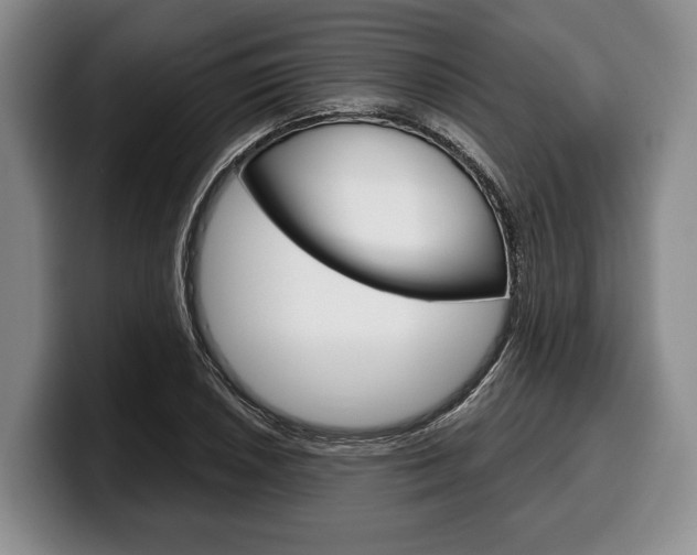 X0000100341026200806051220