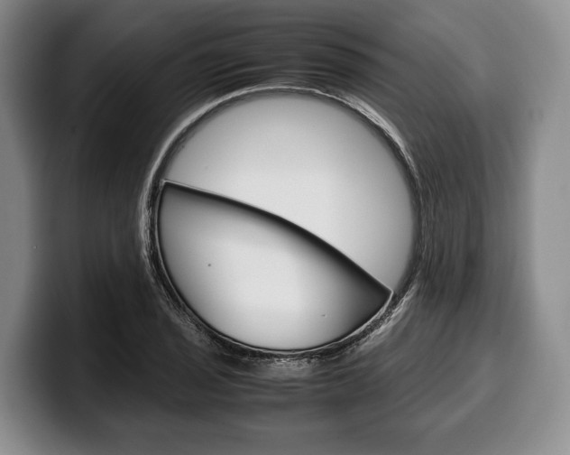 X0000100341029200806051220