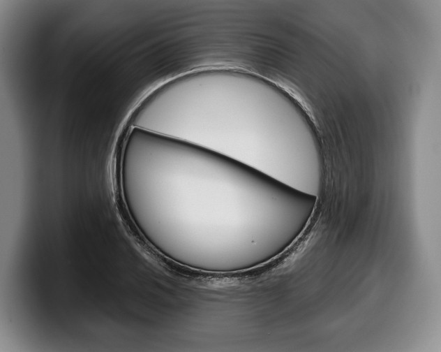 X0000100341030200806051220