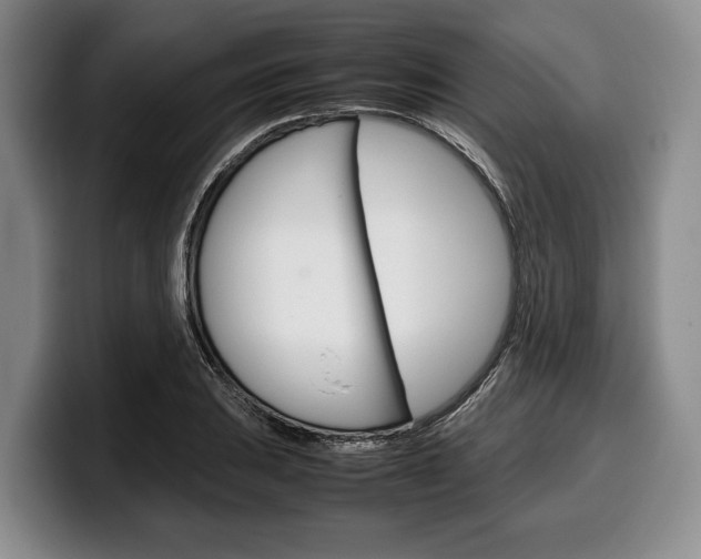 X0000100341031200806051220