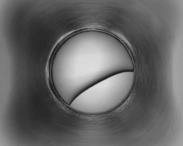 X0000100341032200806051220