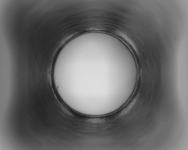 X0000100341033200806051220