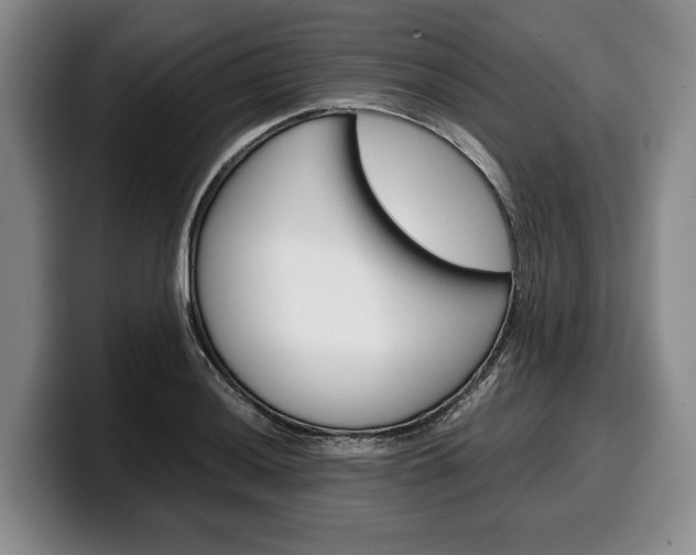 X0000100341036200806051220