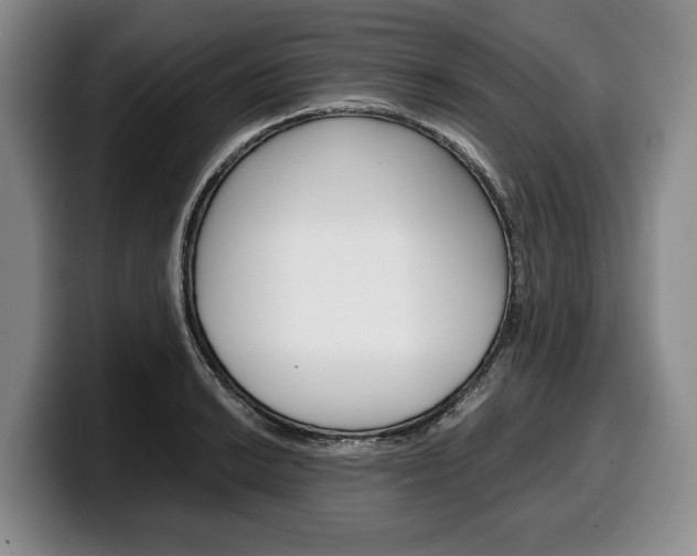 X0000100341038200806051220