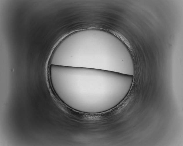X0000100341039200806051220