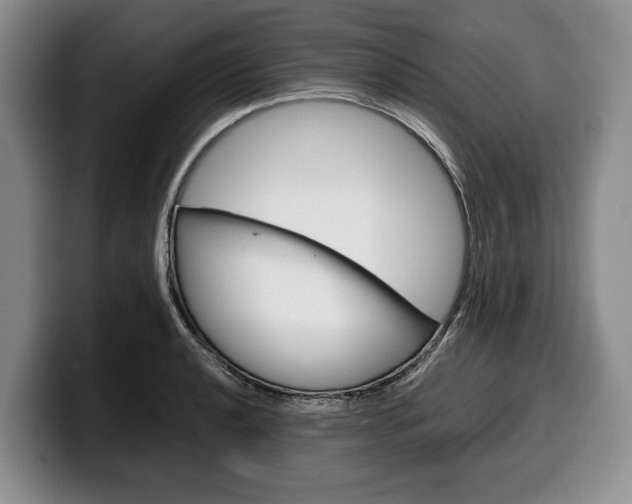 X0000100341040200806051220