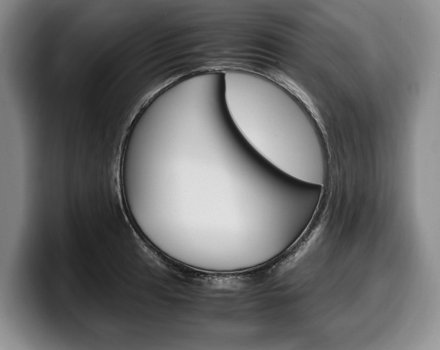 X0000100341041200806051220