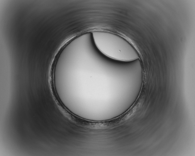 X0000100341042200806051221