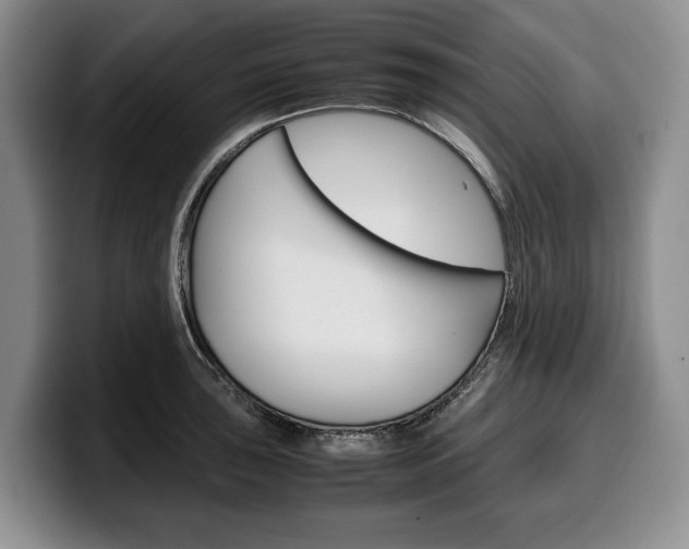 X0000100341043200806051221