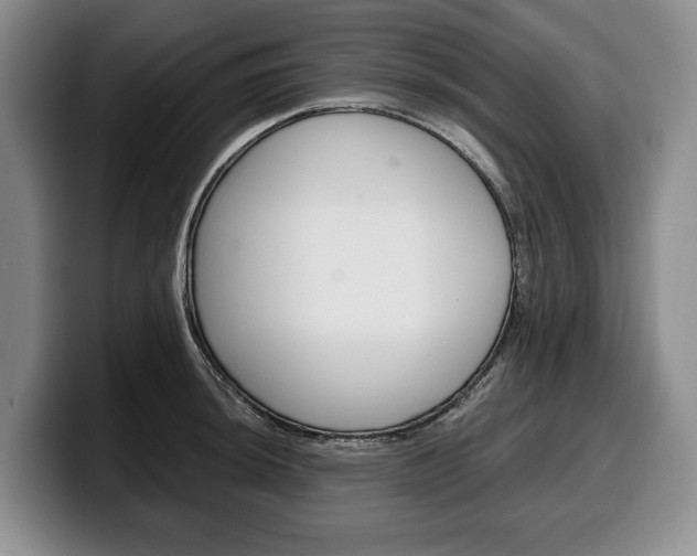 X0000100341044200806051221