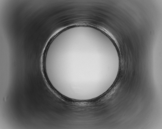 X0000100341045200806051221