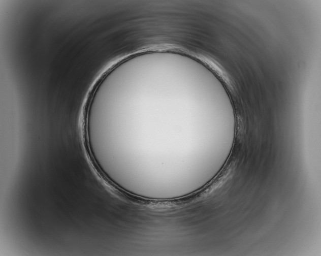 X0000100341046200806051221