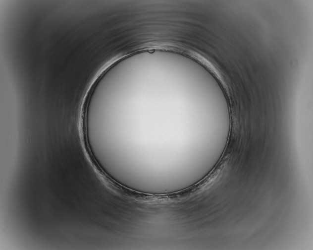 X0000100341050200806051221