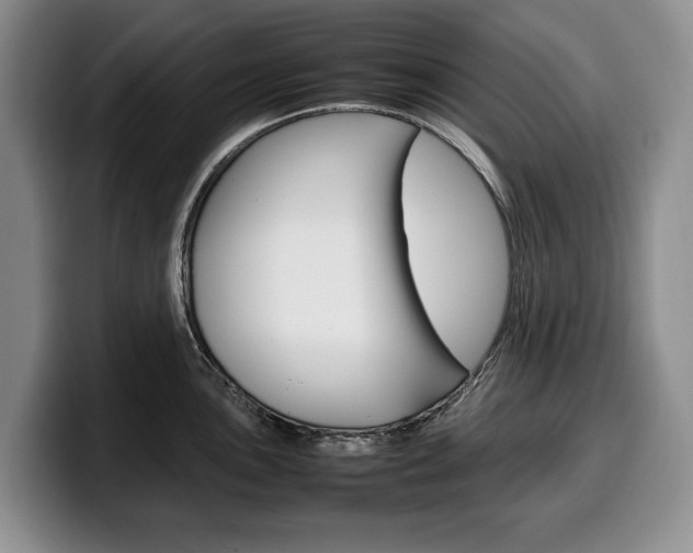 X0000100341051200806051221