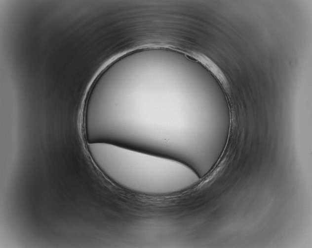 X0000100341052200806051221