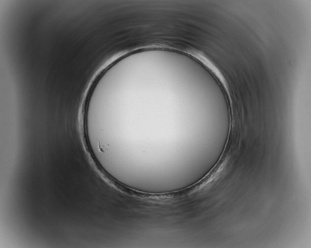 X0000100341053200806051221