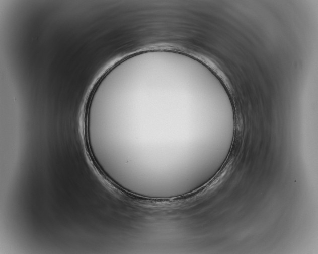 X0000100341054200806051221