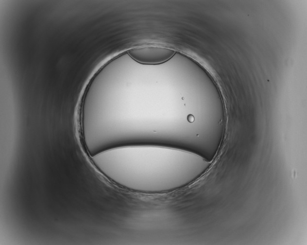 X0000100341056200806051221