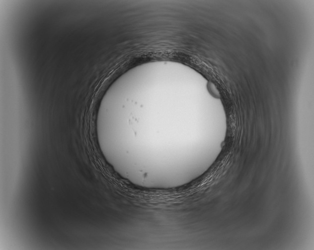 X0000100341057200806051220