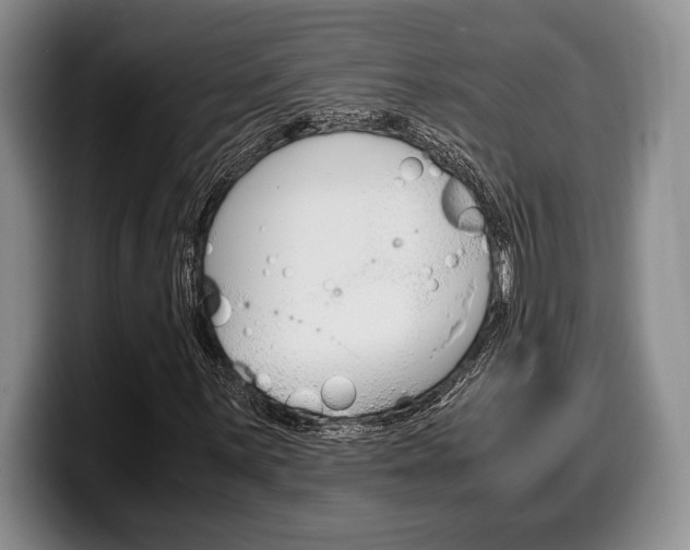 X0000100341059200806051220