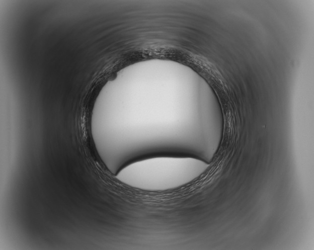 X0000100341060200806051220