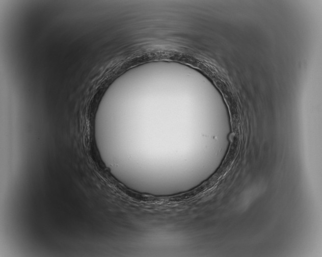 X0000100341061200806051220