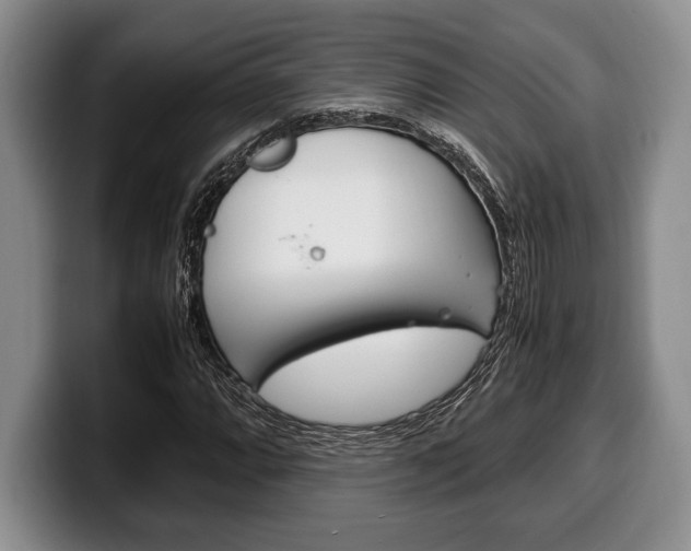 X0000100341064200806051220