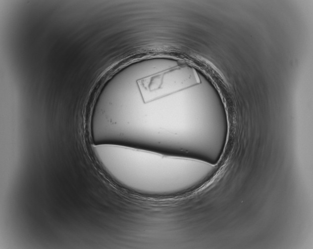 X0000100341065200806051220