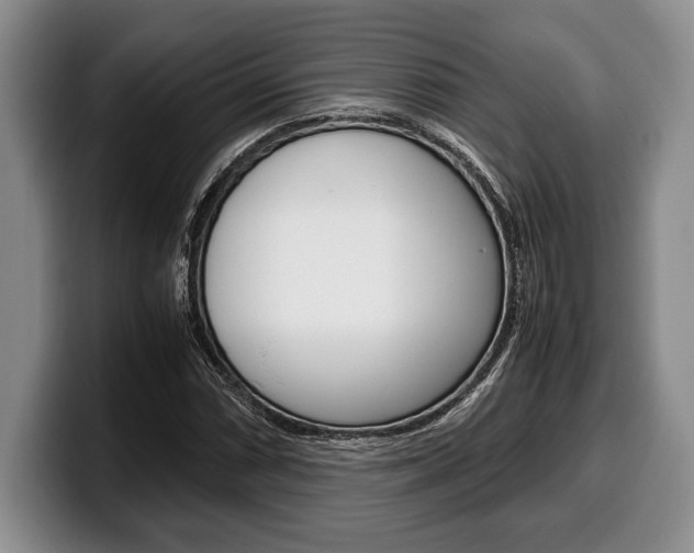 X0000100341066200806051220