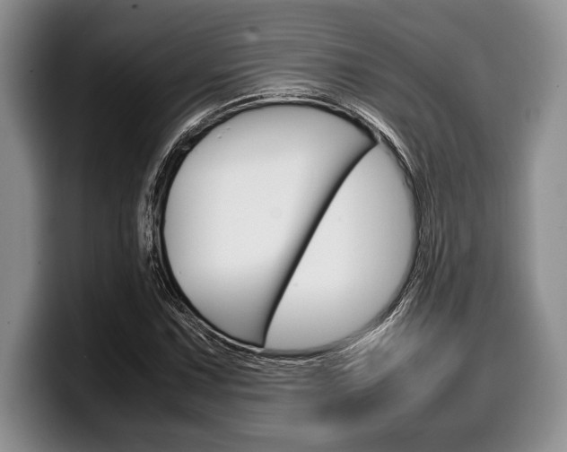X0000100341067200806051220