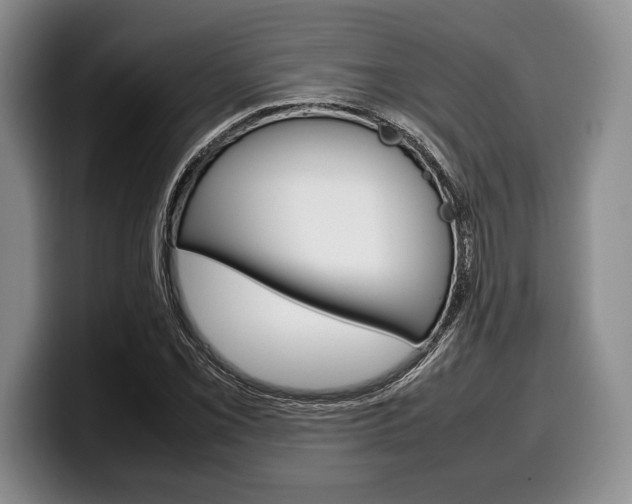 X0000100341069200806051220