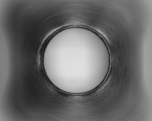 X0000100341070200806051220