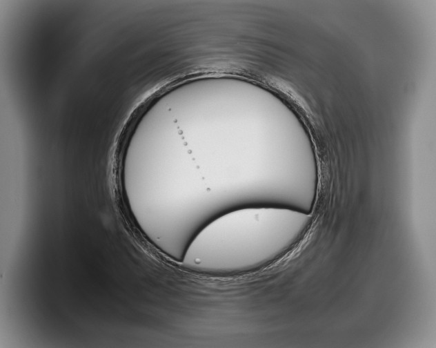 X0000100341071200806051220