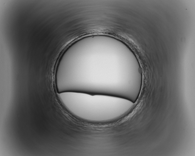 X0000100341073200806051220