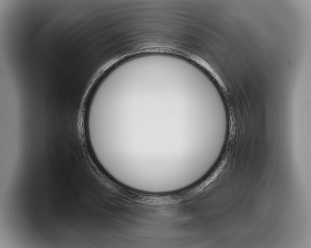 X0000100341074200806051220