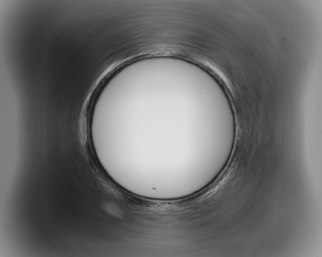 X0000100341075200806051220