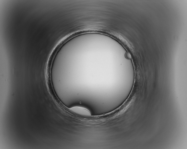 X0000100341077200806051220