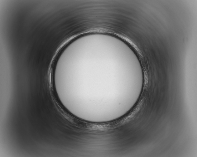 X0000100341078200806051220