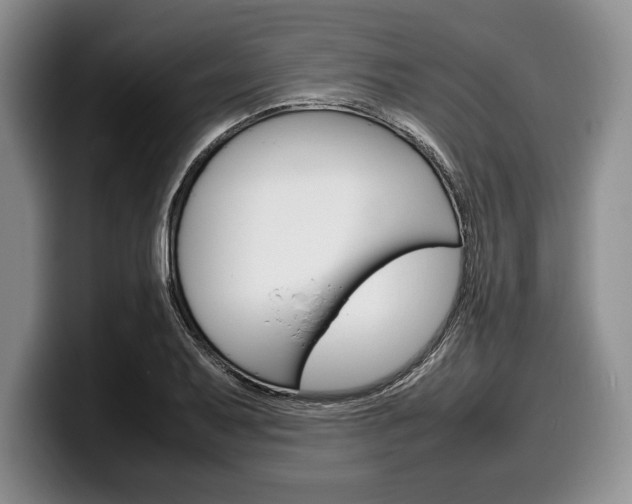 X0000100341079200806051220