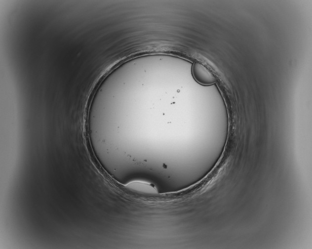 X0000100341081200806051220