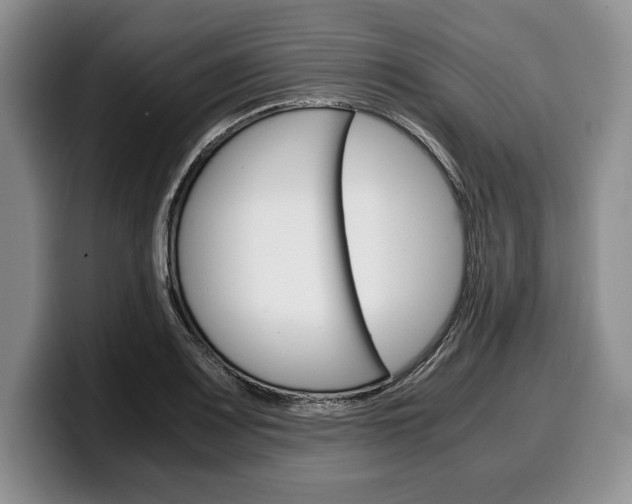 X0000100341083200806051220