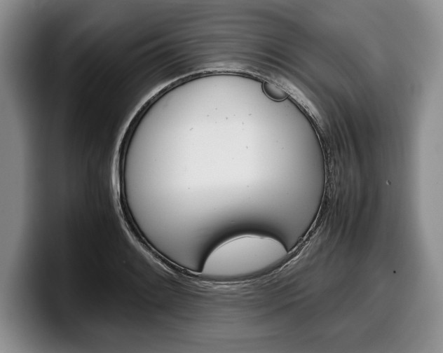 X0000100341084200806051220