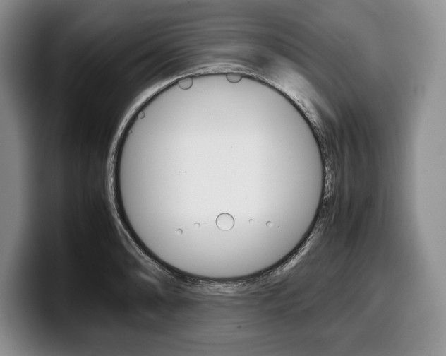 X0000100341086200806051220