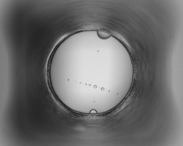 X0000100341087200806051220