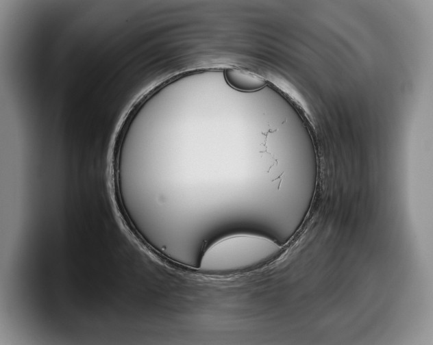 X0000100341088200806051220