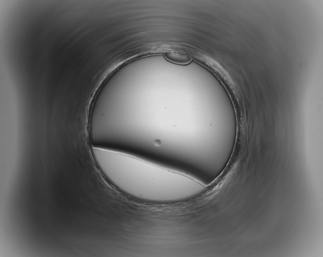 X0000100341089200806051220