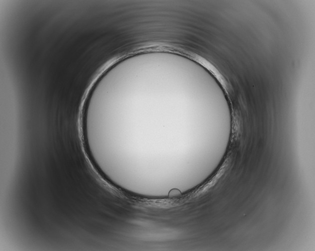 X0000100341090200806051220